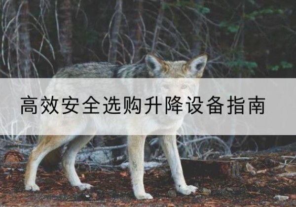 右玉升降货梯厂家推荐-*安全选购升降设备指南