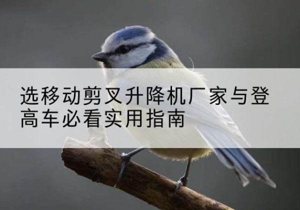 右玉电动升降机厂家-选移动剪叉升降机厂家与登高车必看实用指南