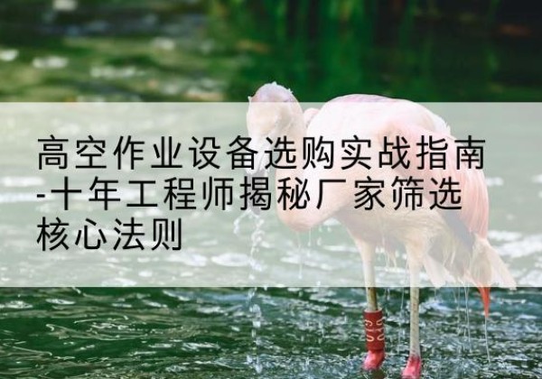 右玉剪叉式升降机厂家-高空作业设备选购实战指南-十年工程师揭秘厂家筛选核心法则